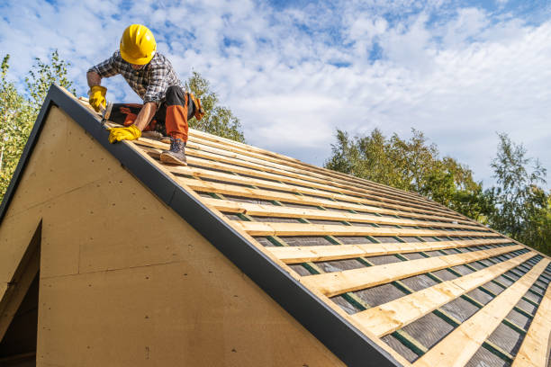 Best Roof Gutter Cleaning  in Flora, AL